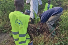 plantation-arbre-2