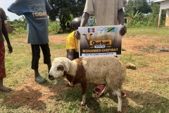 sacrifice-mouton-2025-12